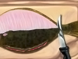 Fresh Flounder